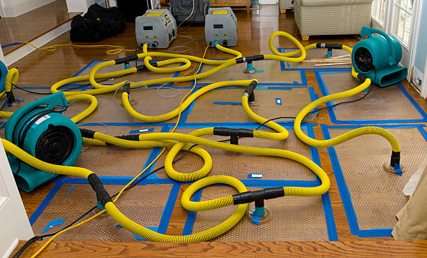 Professional Water Extraction technician working in Norwood, NJ